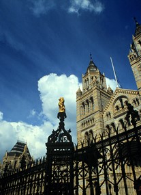 The Natural History Museum