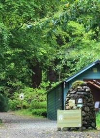 Ardkinglas Woodland Garden