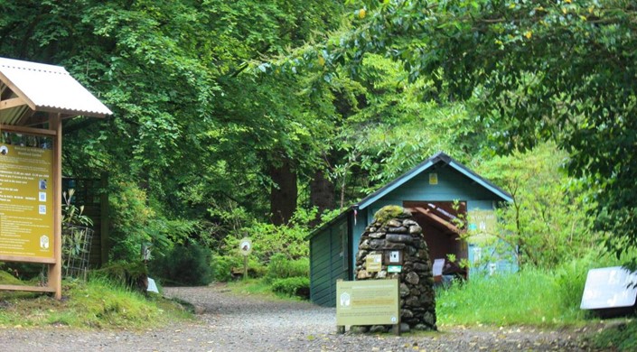 Ardkinglas Woodland Garden