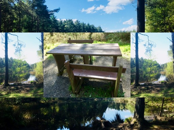 Lovely places to sit and appreciate the view (accessible benches)