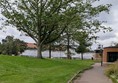 Image of pathway passing a big tree