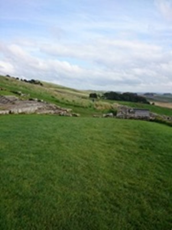Picture of Housesteads Roman Fort