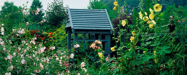 Summer Sundays: Cottage Garden Day article image