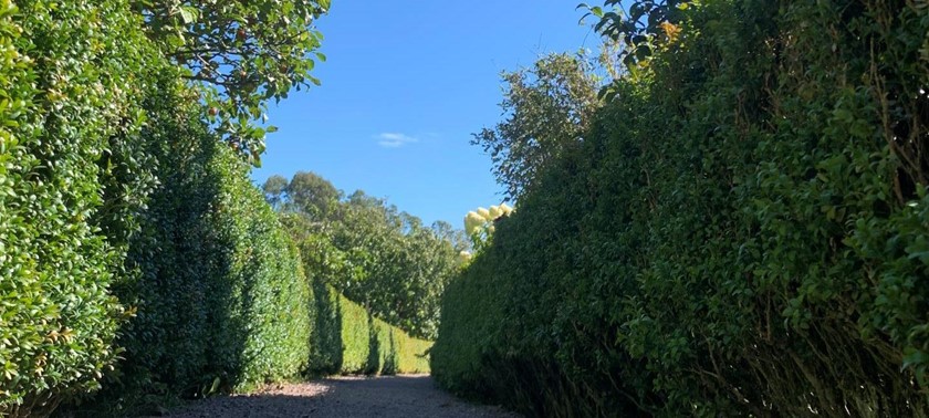 Inverewe Garden