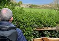 Picture of a man looking at ruined wall