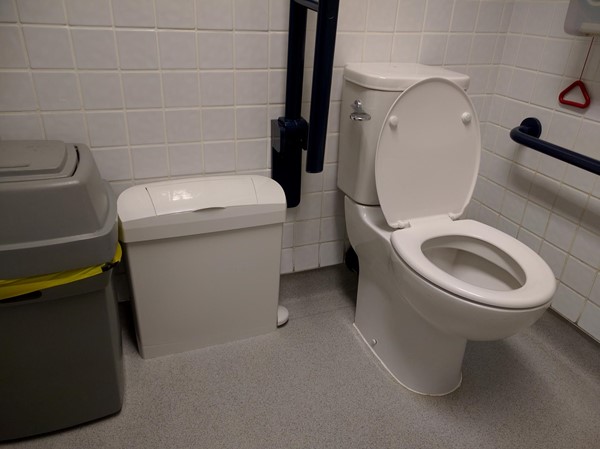 Picture of Marks & Spencer, Kensington High Street - Accessible Toilet - Bins in the transfer area