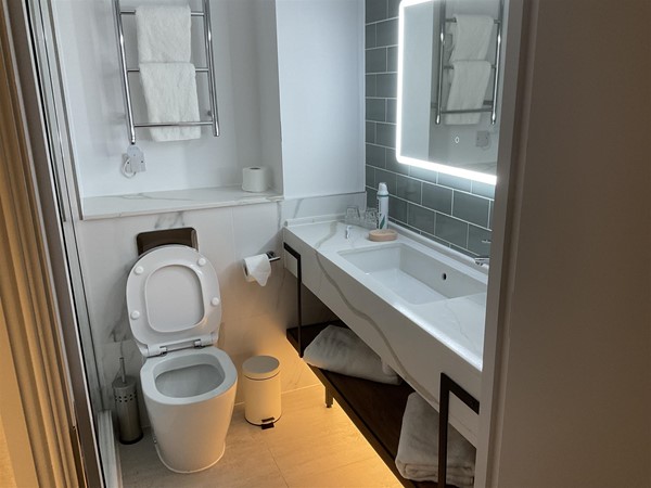 Image of a toilet
