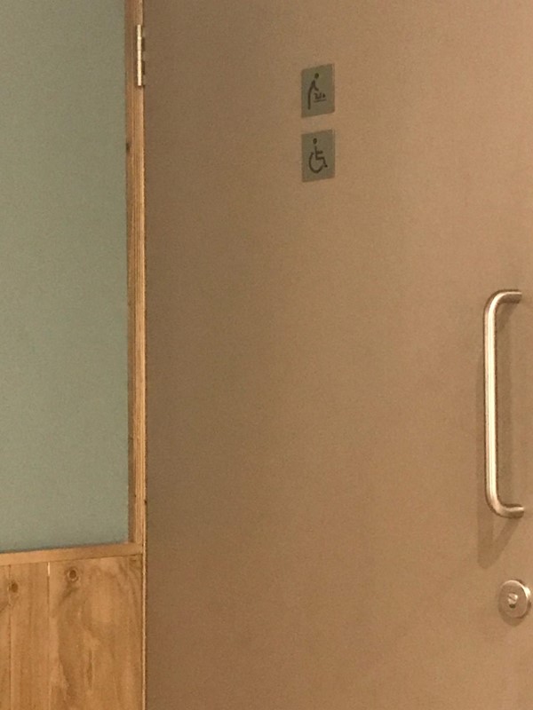 Heavy toilet door with pull handle
