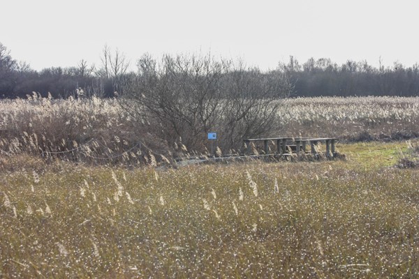 Duckboarding and viewing platforms are pretty much camouflaged against the backdrop
