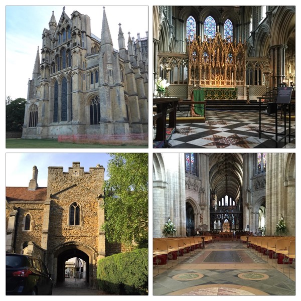 Cathedral surfaces