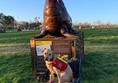 Walrus sculpture