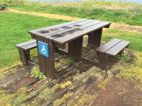 Picture of Gullane Bents - Picnic Table