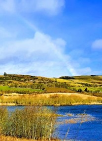 Murton Farm, Tearoom and Nature Reserve