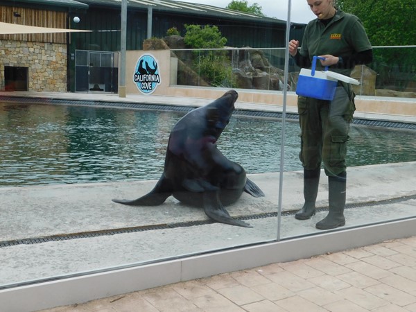 Seal and keeper
