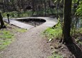 Picture of a path through trees