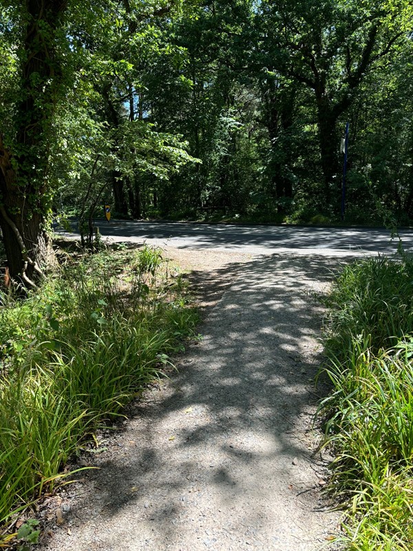 Image of a road area.