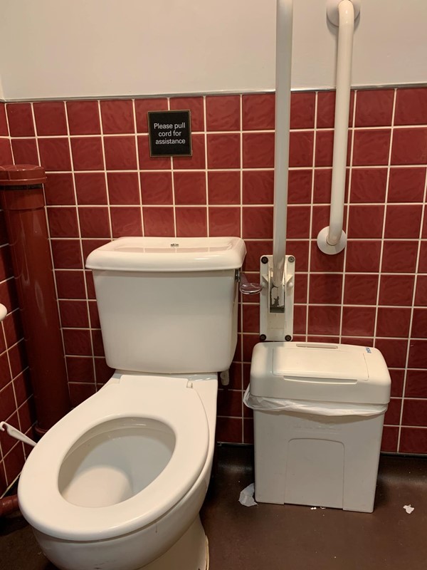 image of toilet with handrails on left hand side, floor space and a waste bin is against the wall