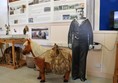 Display about Shetland ponies with a life sized model and wall displays.