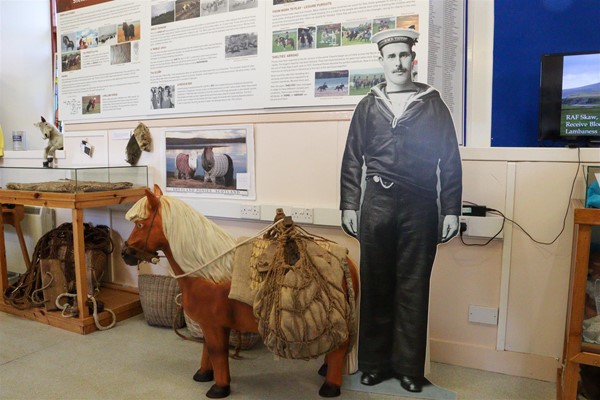 Display about Shetland ponies with a life sized model and wall displays.