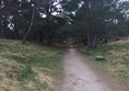 Path at the beginning.