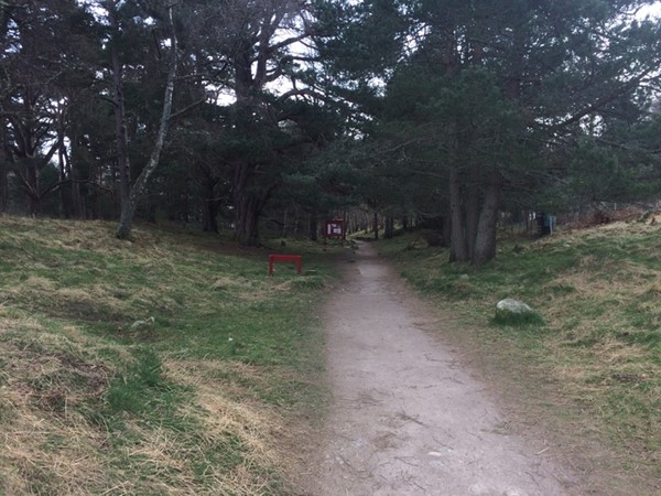 Path at the beginning.