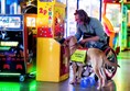 Picture of person and dog at The Grand Pier