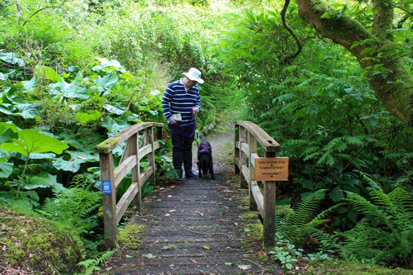 Bridge over a stream