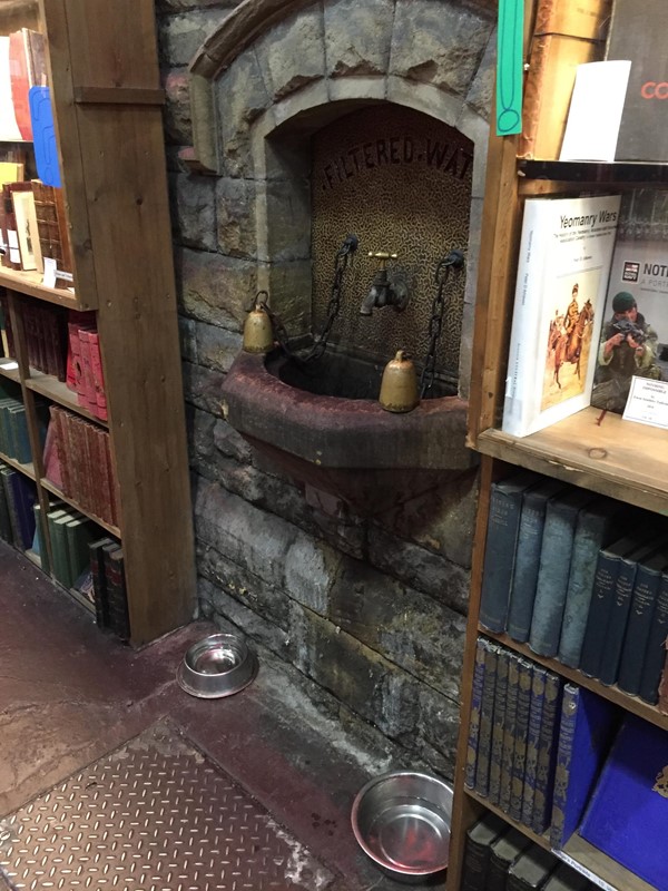 Dog bowls helpfully dotted around Barter books