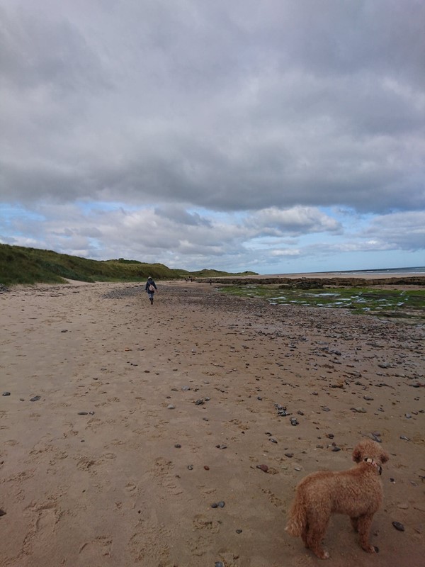Picture of St Aidan's Dunes