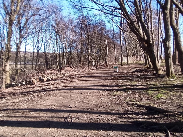 Dog run - dogs must be on lead on site but can go off lead here.