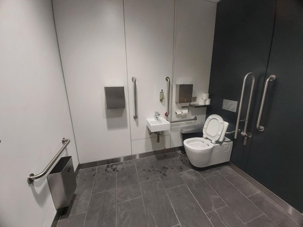 Image of Horizon 22 accessible toilet