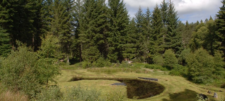 Aldie Burn