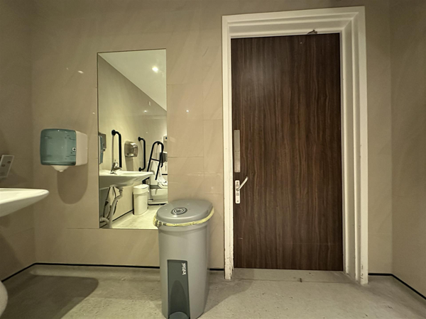 Image of large wall-mounted mirror, large bin and accessible toilet door from the inside
