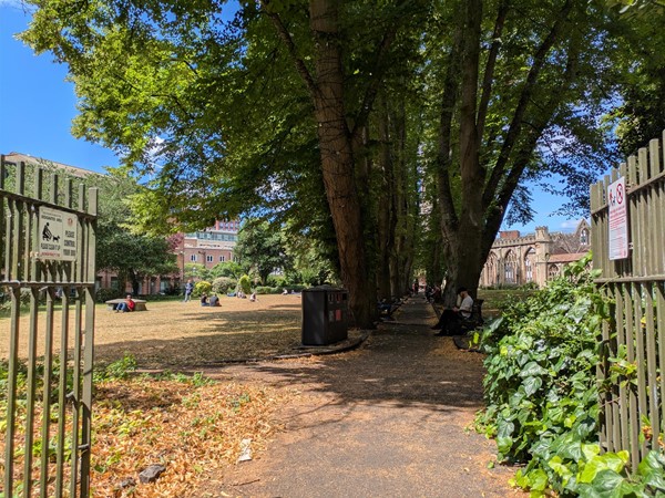 Image of green fence at the entrance to the park and path, there is a large tree to the right.