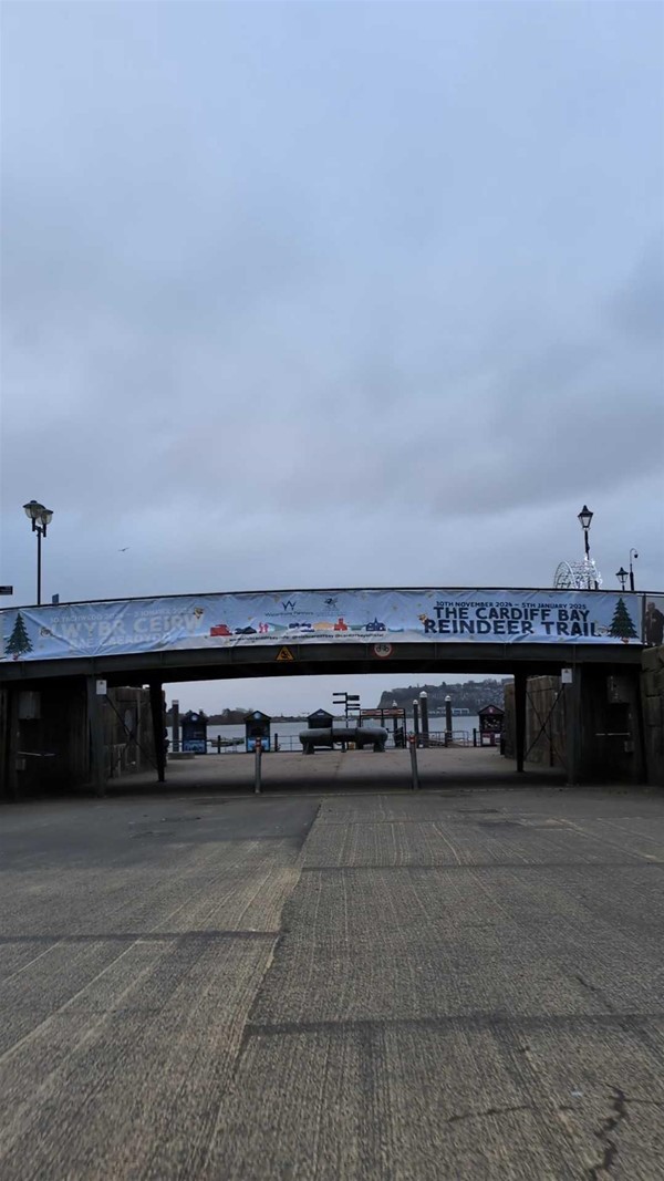 Image of bridge at Roald Dahl Plass