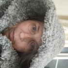 AmandaBickerton