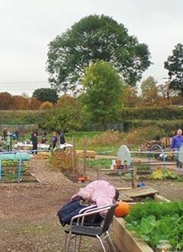 Appletree Allotment & Community Garden