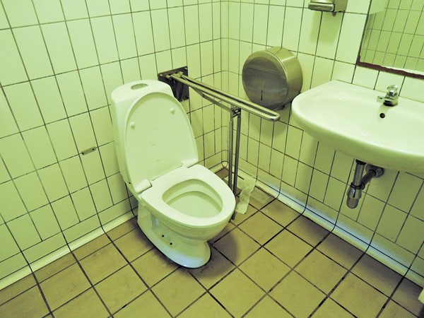 Accessible toilet