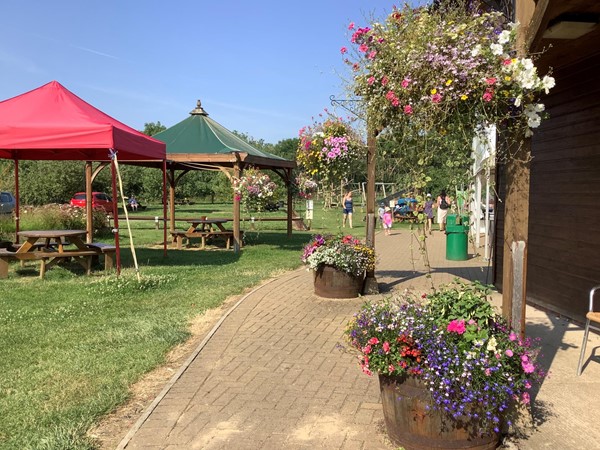 (1). Farm grounds and flower display