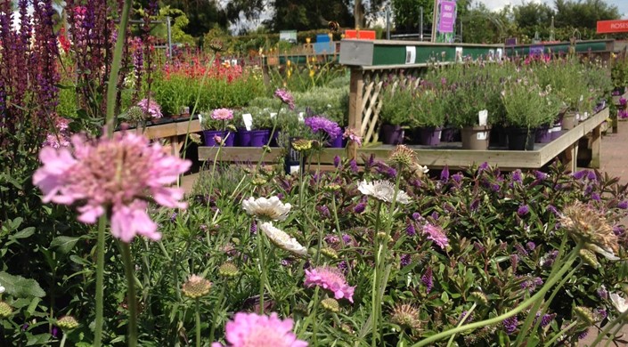 Perrywood Garden Centre