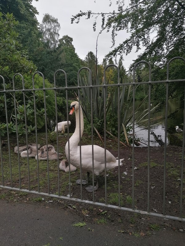 Picture of Rozelle Estate, Ayr