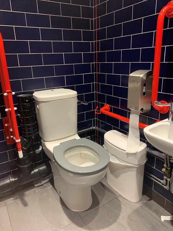 Image of accessible toilet showing handrails, toilet, red cord card hanging behind the bin and sink.
