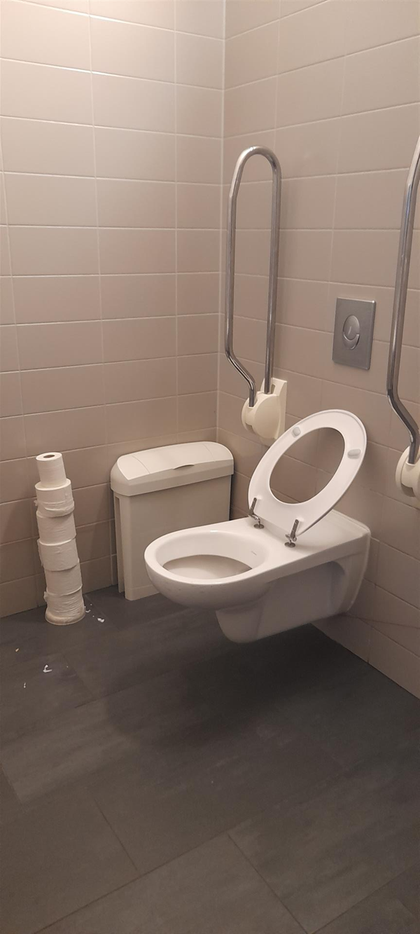 Image of a toilet and a grabrail