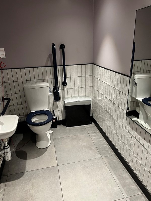 Image of an accessible toilet