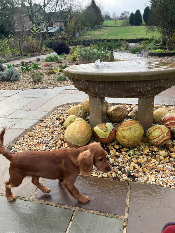 The water feature