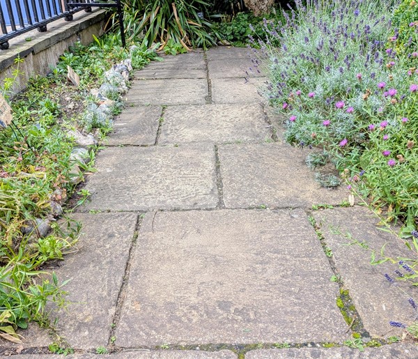 Image of pathway with stone paving slabs