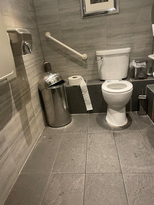 Picture of the accessible toilet at The Boatman