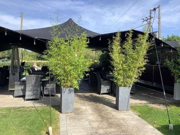 3 entrance to shady canopy