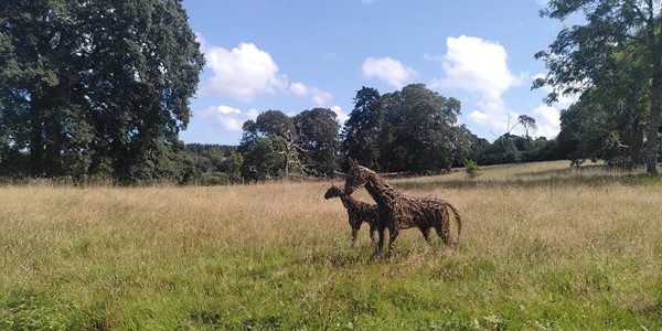 Enys Gardens