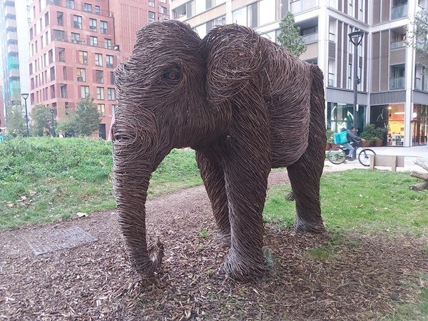 Wicker elephant